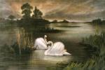 Lords of the Mere (Restrike Etching) art print