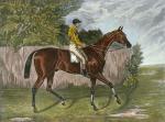 Sidney R. Wombill art print