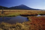 Jupiter Images art print