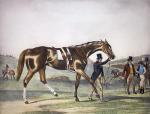 Francis Calcraft Turner art print