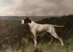 Arthur Wardle art print