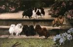 Arthur Wardle art print