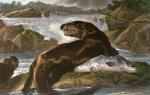 Sir Edwin Henry  Landseer art print