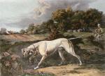 Francis Calcraft Turner art print