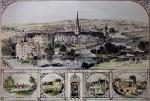 Sulman art print