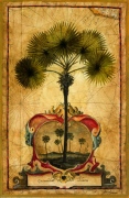 Liz Jardine art print