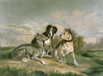 Sir Edwin Henry  Landseer art print