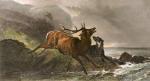 Richard Ansdell art print