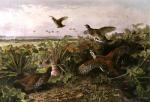 Archibald Thorburn art print