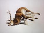 Sir Edwin Henry  Landseer art print