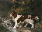 Philip Reinagle art print