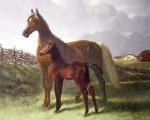 John Frederick Herring art print
