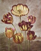 George Philip Reinagle art print