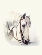 Richard Ansdell art print