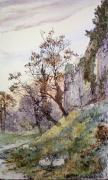 Edward Slocombe art print