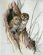 Barn Owls (Restrike Etching) art print