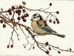 Winifred Austen art print