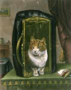 Wildel art print