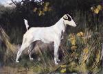 Arthur Wardle art print