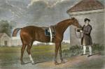 George Stubbs art print