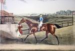 James Pollard art print