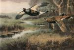 Archibald Thorburn art print