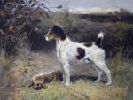 Arthur Wardle art print
