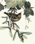 Winifred Austen art print