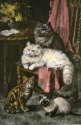Rosa Bebb art print