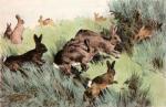 Winifred Austen art print