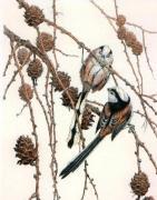 Winifred Austen art print