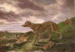Philip Reinagle art print