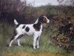 Arthur Wardle art print