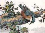 Winifred Austen art print