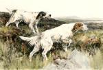 Arthur Wardle art print