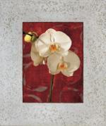 John Seba art print