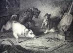 Sir Edwin Henry  Landseer art print