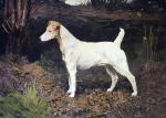 Arthur Wardle art print