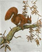 Winifred Austen art print