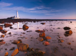 St Mary's lighthouse, over rocky shoreline giclee art print