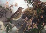 Winifred Austen art print