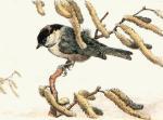 Winifred Austen art print