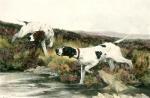 Arthur Wardle art print