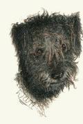 Harber art print