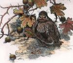 Winifred Austen art print