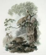 Julias Caesar Ibbetson art print