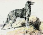 Herbert Thomas Dicksee art print