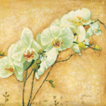 Matina Theodosiou art print