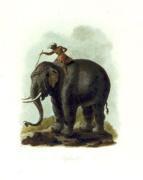 Julias Caesar Ibbetson art print