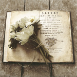 Cristin Atrina art print